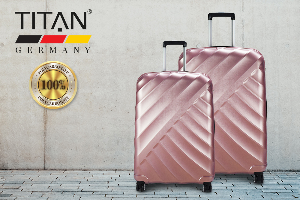 roadrunner bass case